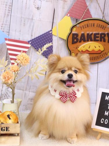 20240901梛都ちゃん